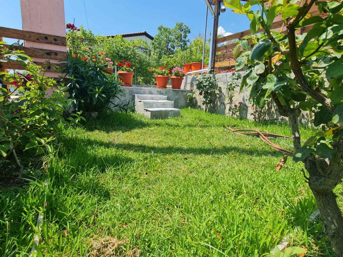 Stella'S Garden Villa PalaiónTsiflíkion Eksteriør billede